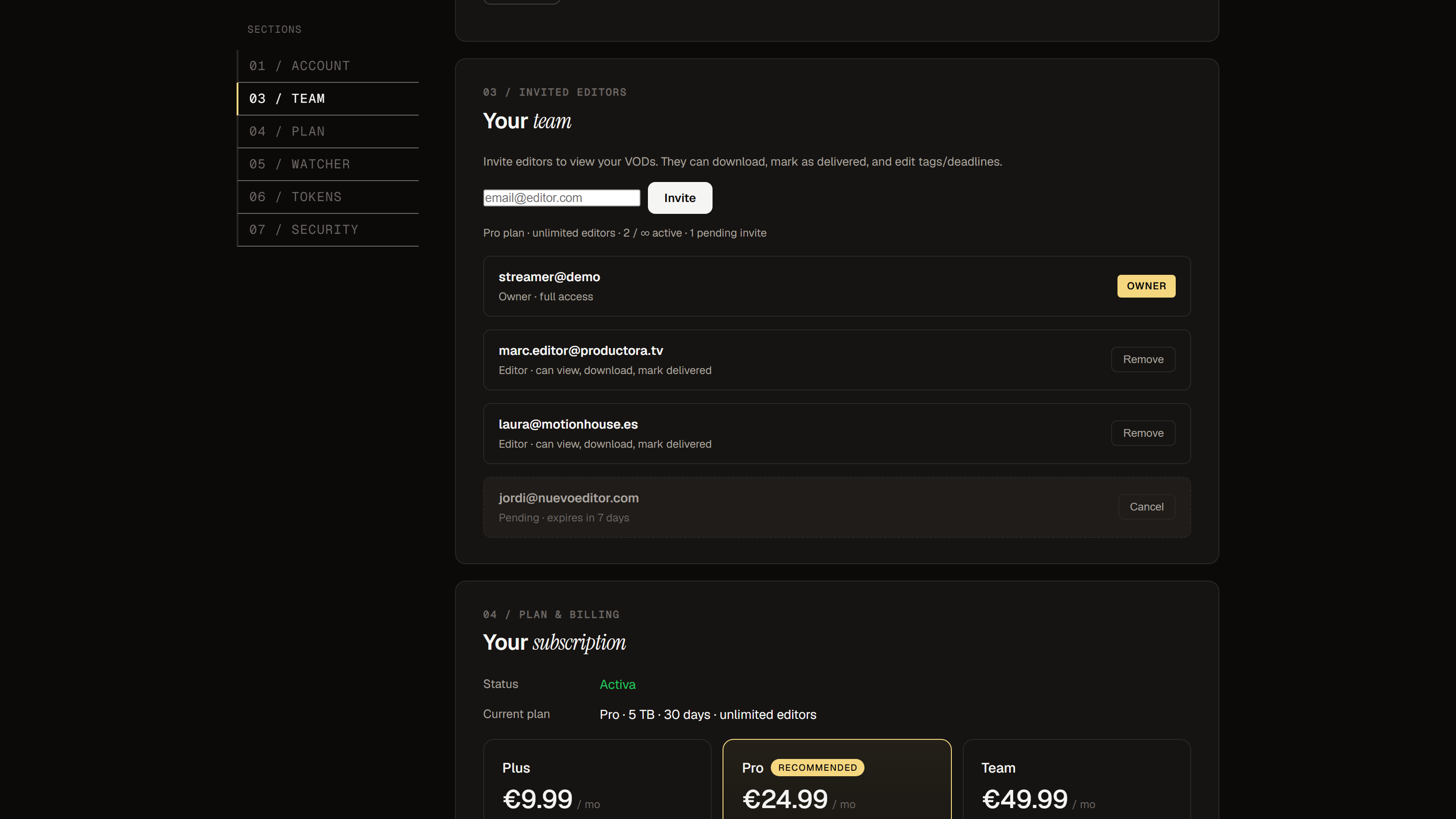Team settings showing workspace members and a pending editor invitation